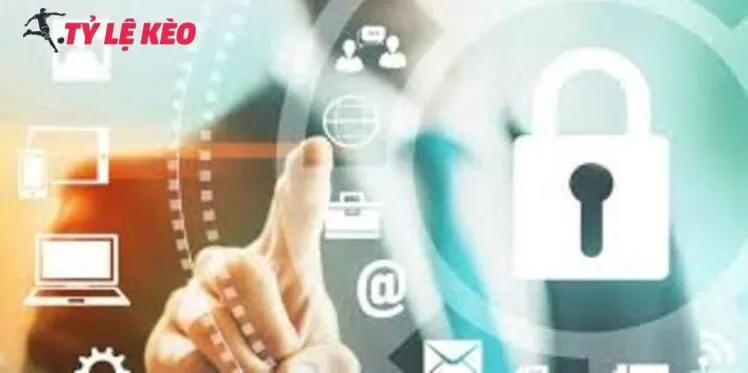 Thông tin người dùng được nhà cái lưu trữ ở đâu?