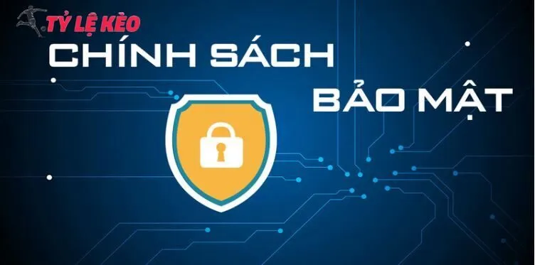 Các loại thông tin của chính sách bảo mật Tỷ Lệ Kèo