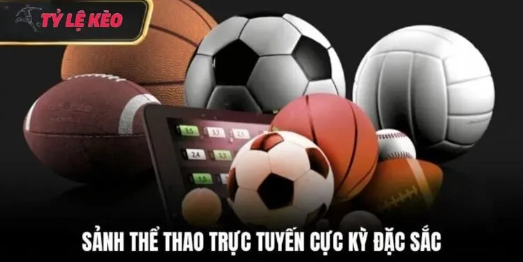 Sảnh thể thao chuyên nghiệp của nhà cái Haywin