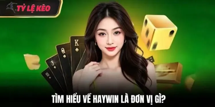 Giới thiệu về thương hiệu uy tín HAYWIN