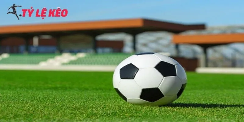 Lợi ích lớn khi cá cược Livescore