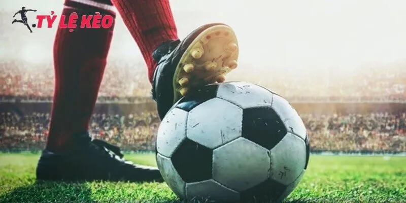 Kinh nghiệm cá cược Livescore thắng lớn