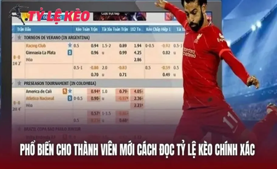 Giúp người chơi biết rõ cách đọc tỷ lệ kèo!!